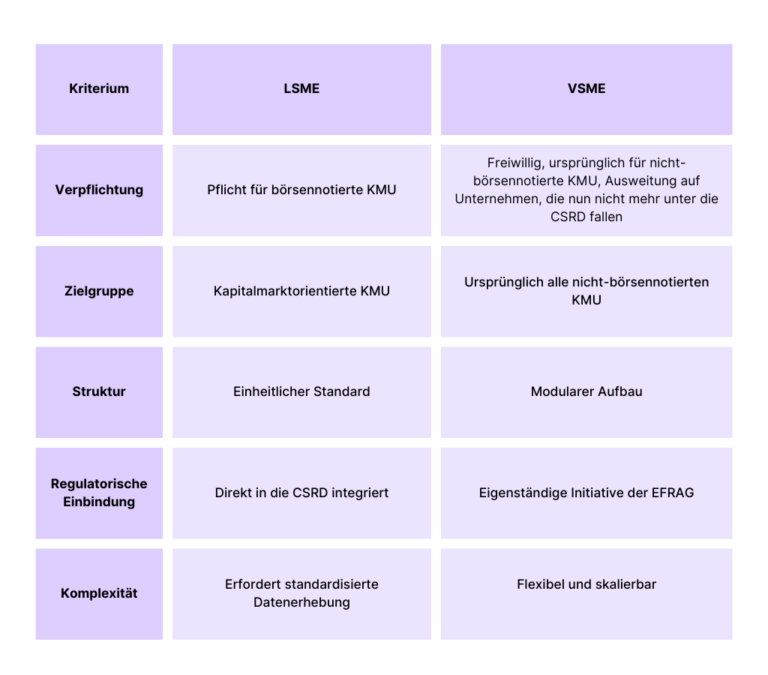 VSME vs. LSME: ein Vergleich der freiwilligen Standards